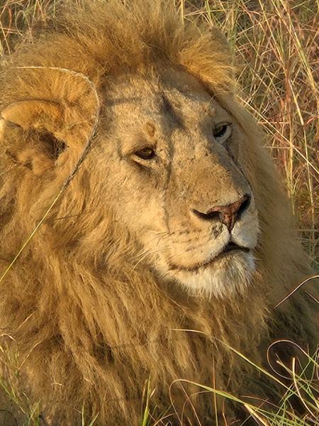 A life changing trip to Kenya that made our dreams come true.