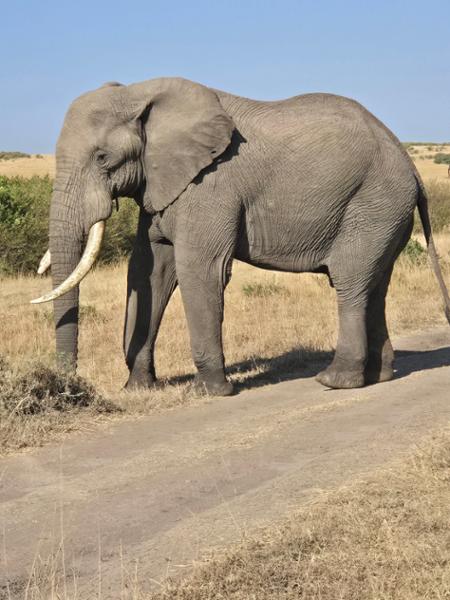 A life changing trip to Kenya that made our dreams come true.