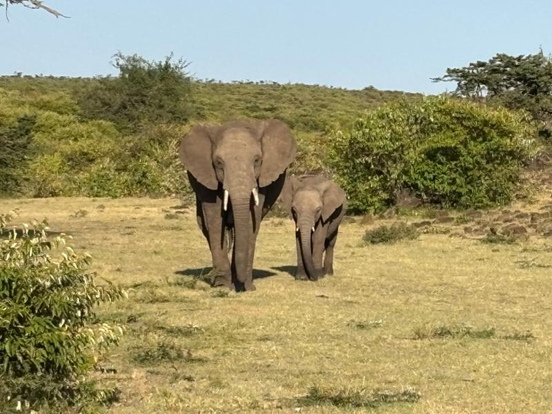 Kenya