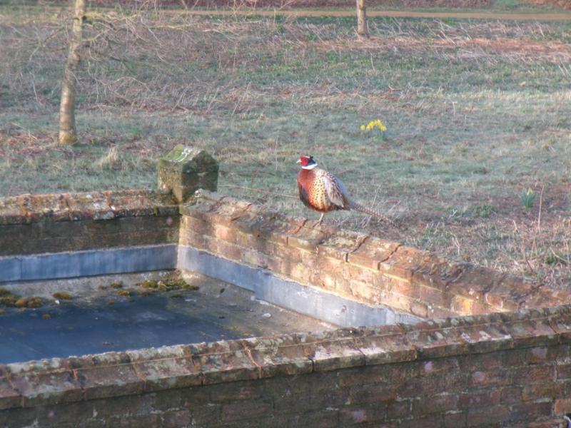 Blickling Tower