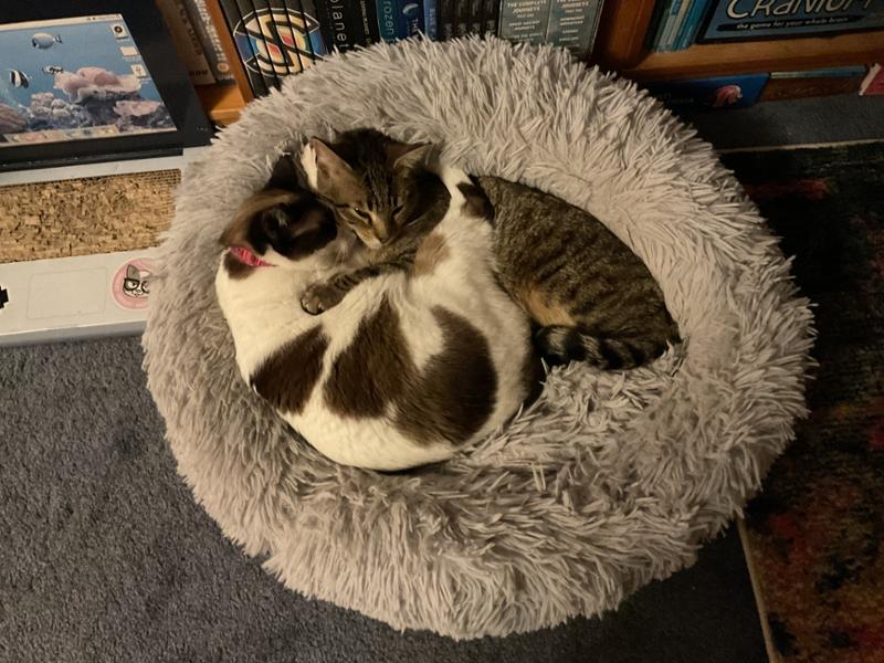 Friendly and helpful staff