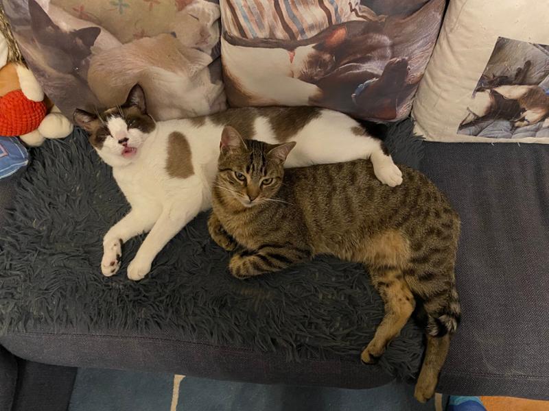 Friendly and helpful staff