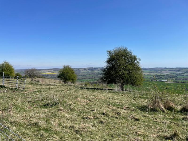 Another nice walk with Contours