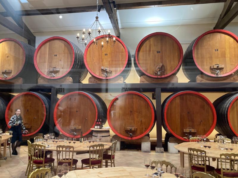 Burgundy & Provence