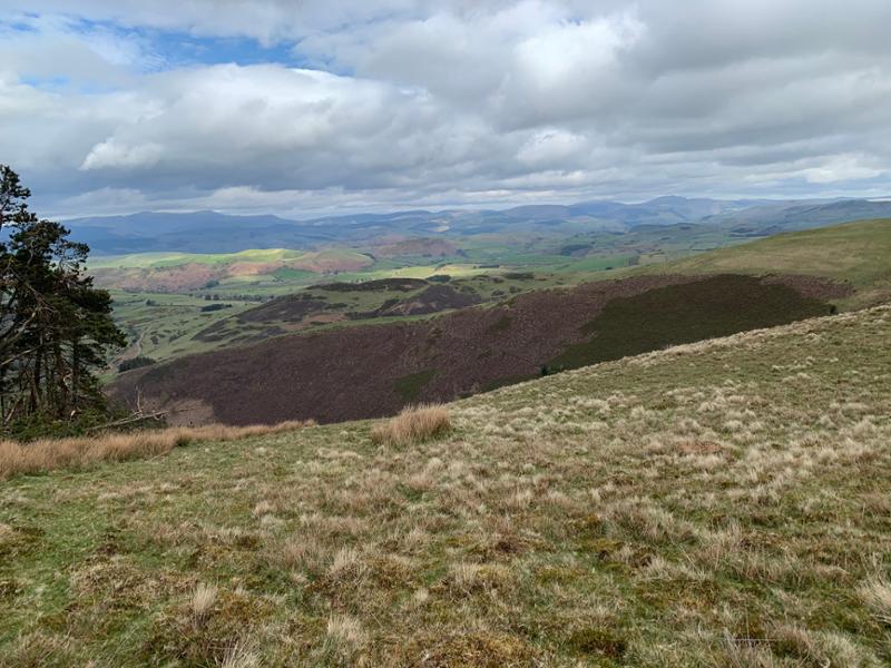Glyndower’s way: a window onto empty and beautiful central Wales