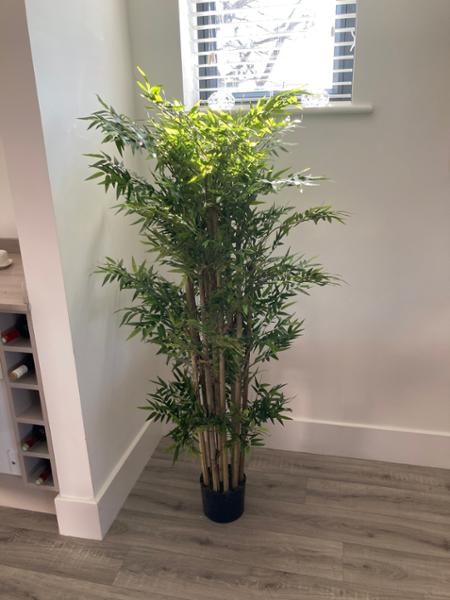 A nice artificial Oriental bamboo plant, with little care required.