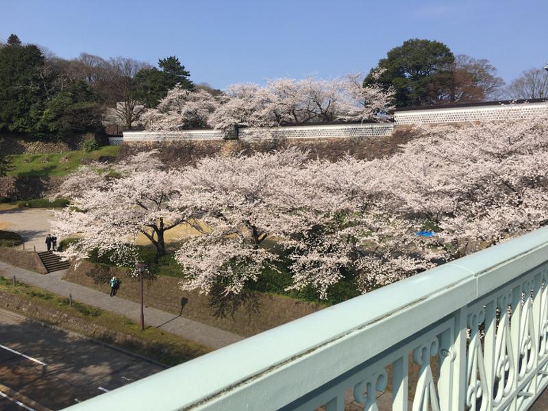 5221-Grand Japan