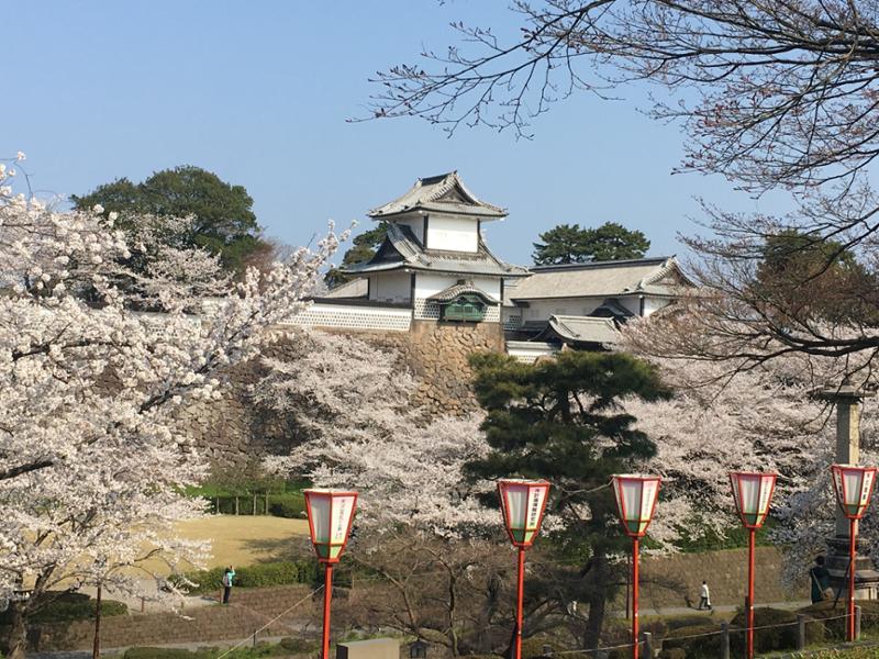 5221-Grand Japan