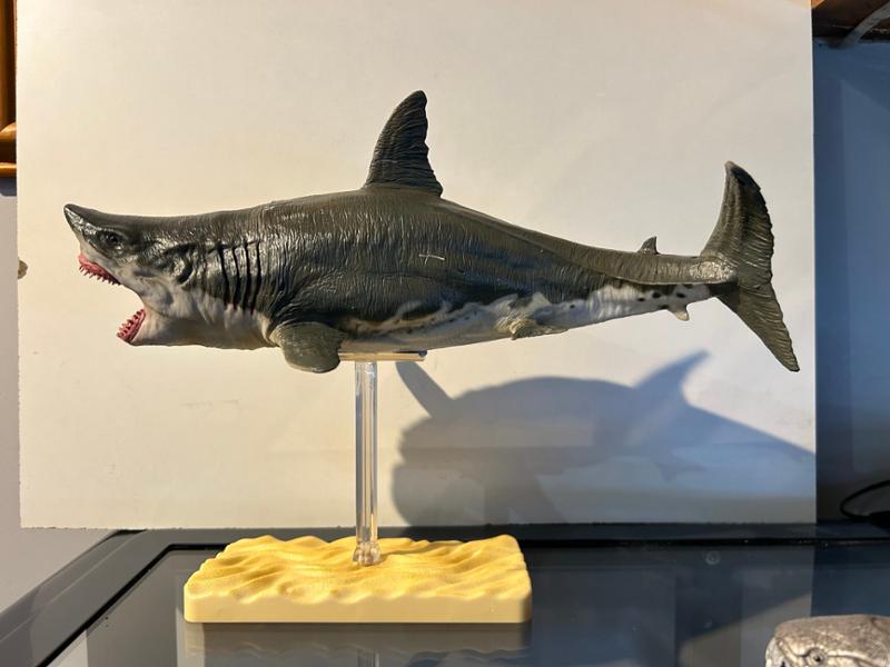 Great (not White) Shark from PNSO.