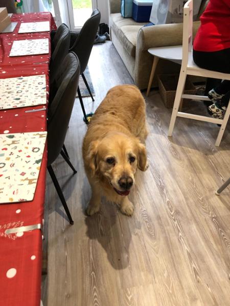 Happy Charlie