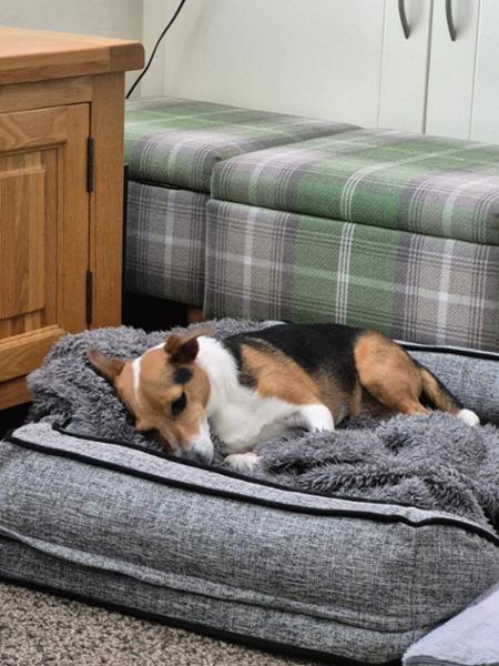 Very comfortable dog bed.