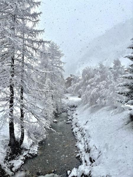 Chalet Cascade