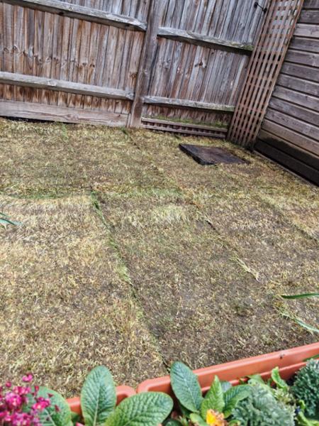 Great service but disappointed with the grass
