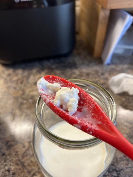 Organic Kefir Home basic Starter Kit-with Milk or Water Grains