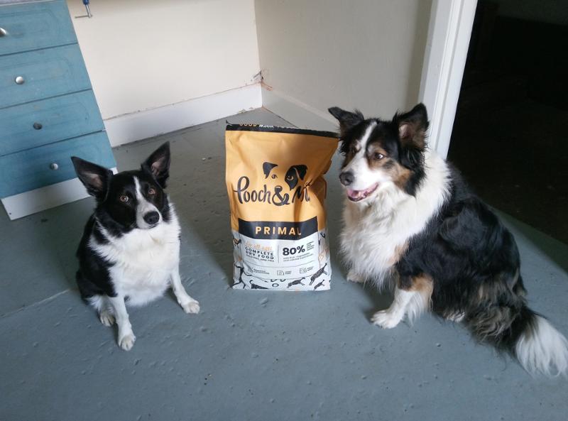 Primal | High Protein Dog Food For Small Dogs | 1.5kg | Lamb, Ostrich, Chicken & Salmon | High Meat Content Dog Food With Novel Protein | Pooch & Mutt