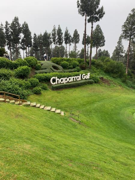 Golf trip/experience
