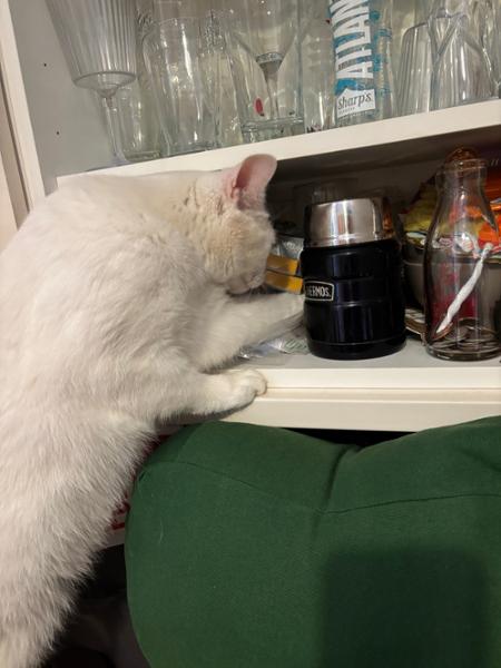 Webbox Lick-e-Lix Chicken Cat Treats