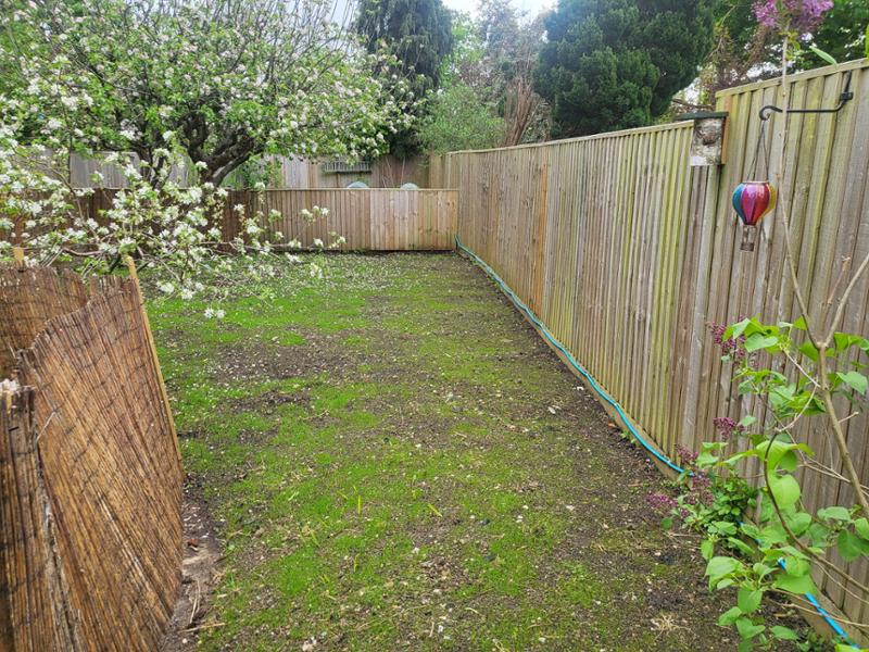 Help with grass selection for my small orchard.