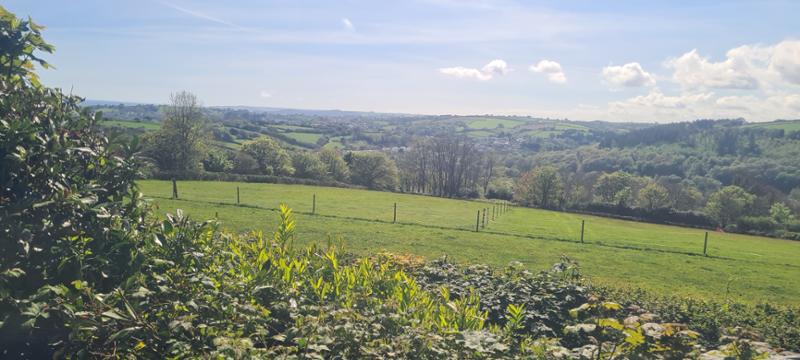 Fantastic properties