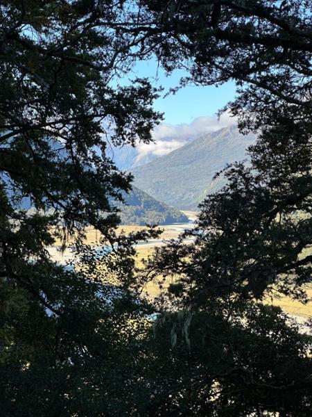 Great Trip through South Island