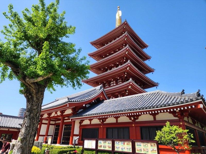 Seeing Japan through Great food & visuals!