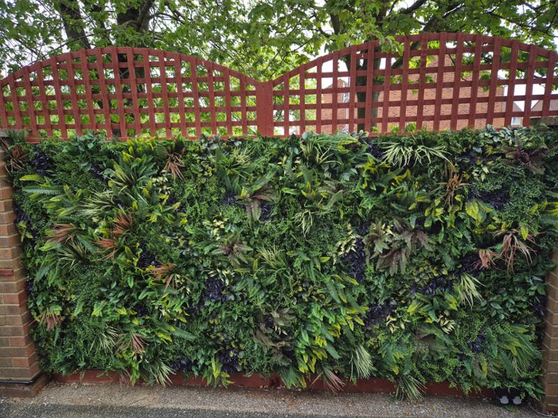Patio area upgraded to greenery