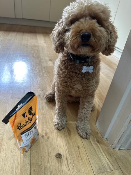 BBQ Beef Jerky for Dogs | 90% Baltic Beef | 90g | High Protein Dog Treats | Grain-Free | Pooch & Mutt