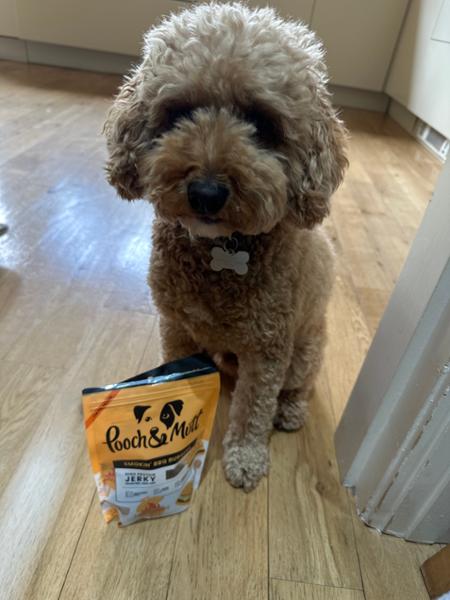 BBQ Beef Jerky for Dogs | 90% Baltic Beef | 90g | High Protein Dog Treats | Grain-Free | Pooch & Mutt