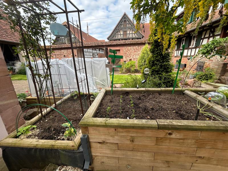 Potager décoratif