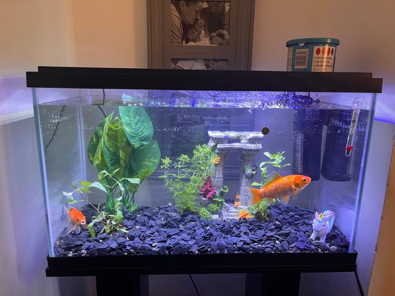 Happy customer
