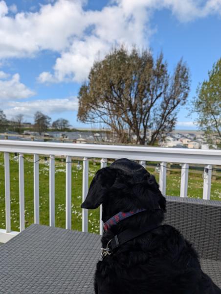 Doniford Bay holiday home