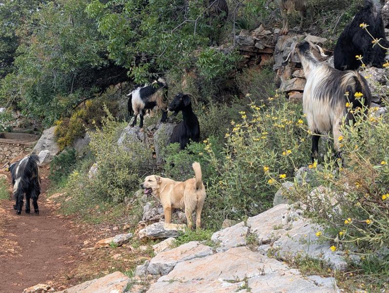 Enjoyable hiking from Forever Hotel, Olu Deniz.
