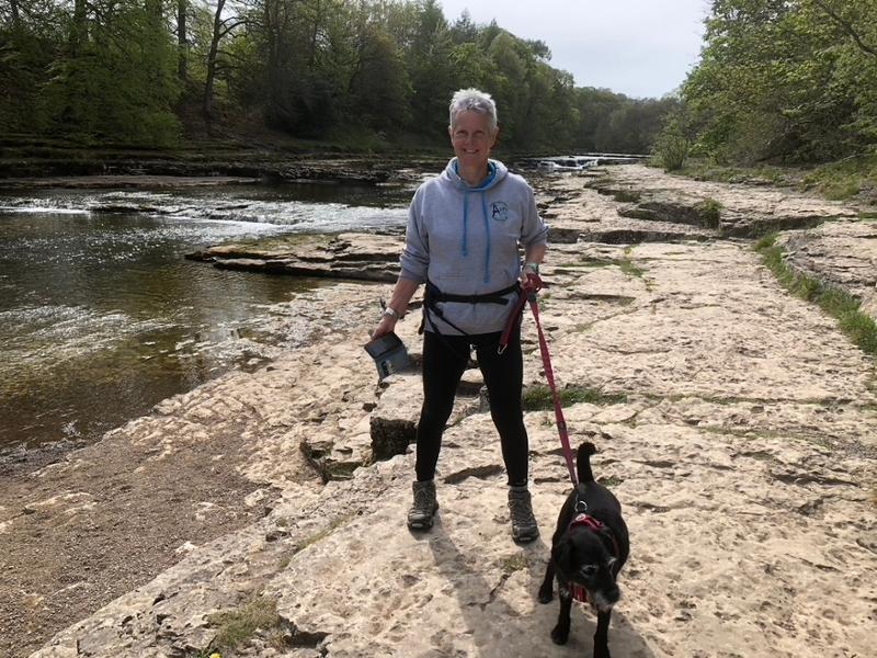 Dog friendly Herriot Way