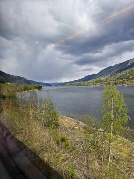 NORWEGIAN COAST