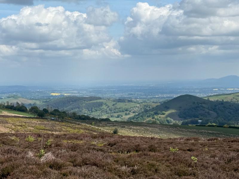 Dog Friendly Shropshire Trail Loop