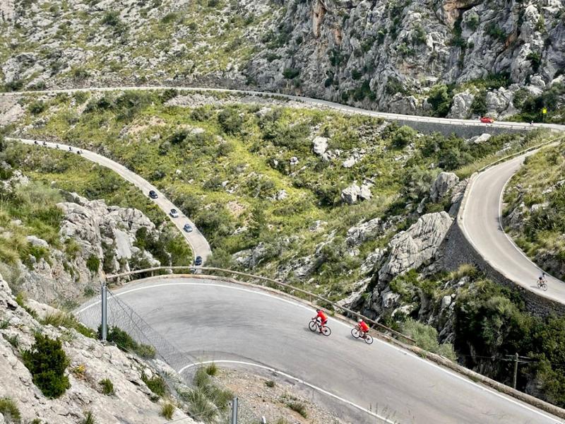 Sardines in the Sun: A Mallorcan Misadventure