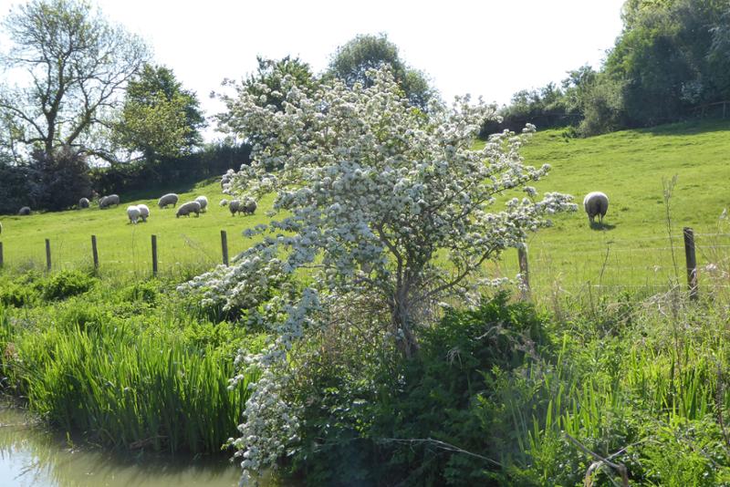 Must do it again with Union canal carriers