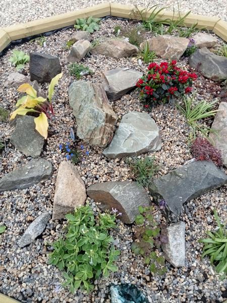 Our octagonal raised bed. A great addition to our garden