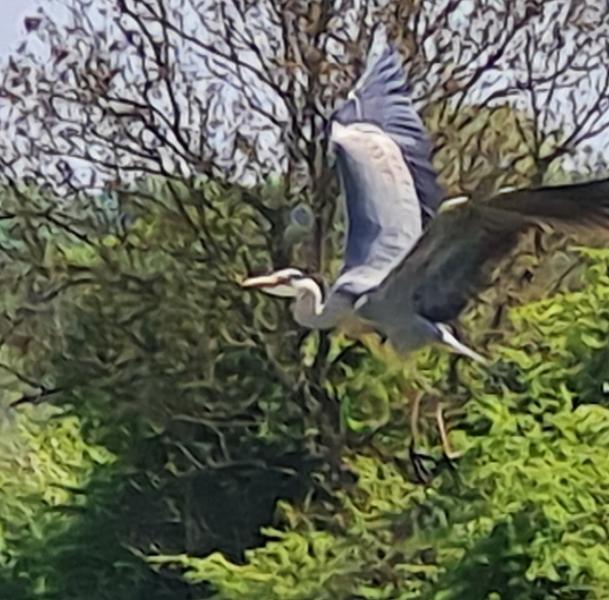 A good week on the Bradford and Avon Canal