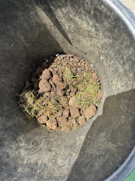 Blended topsoil full of stone