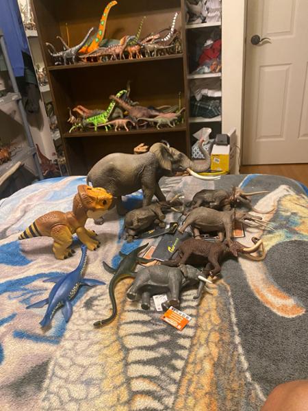 It is a great place to order dinosaur models especially obscure ones