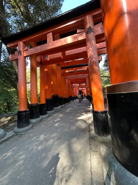 Cultural Treasures of Japan on 05/26/2025