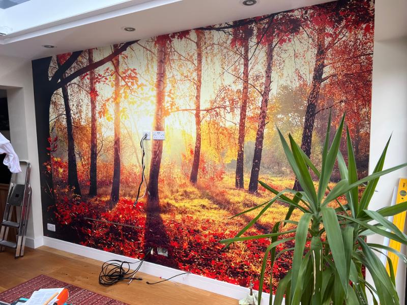 Amazing Mural