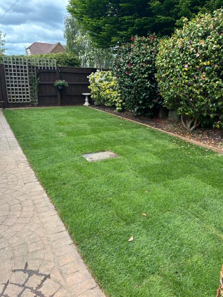 Lush, green grass :)