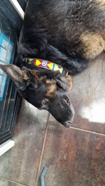 Beaded collars