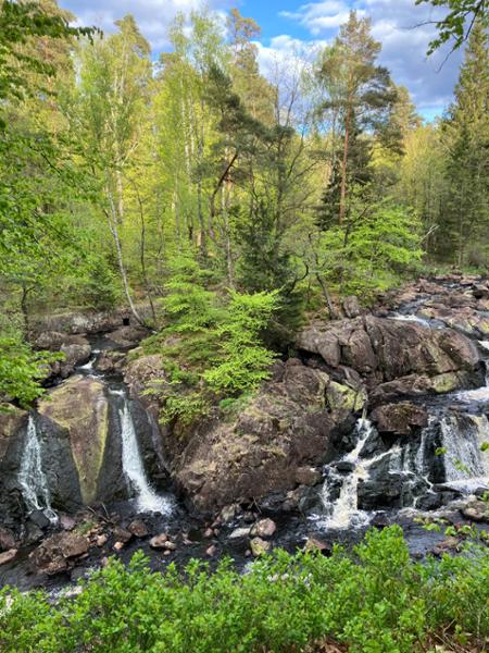 Tallhöjdens värdshus ligger i Simlångsdalens vackra naturområde.