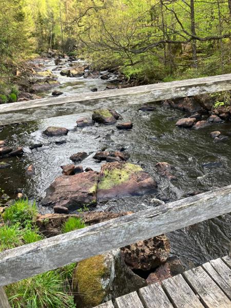 Tallhöjdens värdshus ligger i Simlångsdalens vackra naturområde.