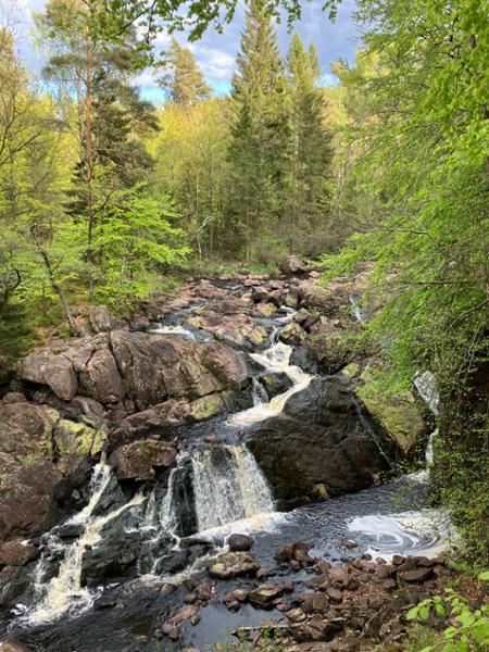 Tallhöjdens värdshus ligger i Simlångsdalens vackra naturområde.