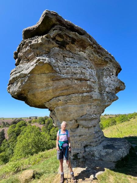 Norht Yorkshire moors guided walking