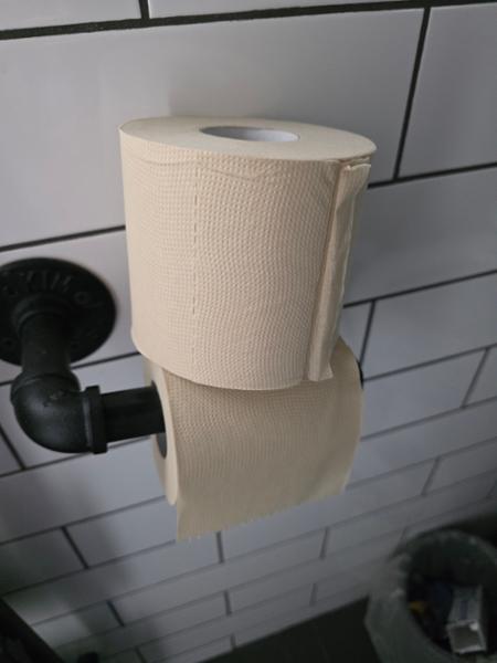 100% natural bamboo toilet rolls - 48 extra long rolls (unwhitened)